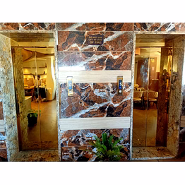 excellent elevator cabin ss gold