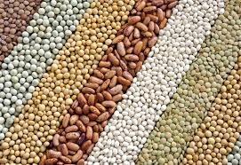 GRAINS AND PULSES PRODUCT-5