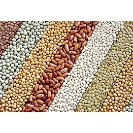 GRAINS AND PULSES PRODUCT