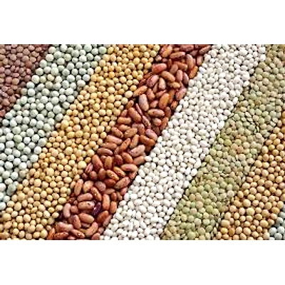 GRAINS AND PULSES PRODUCT