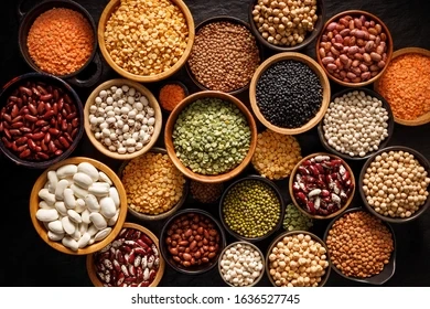 GRAINS AND PULSES PRODUCT-7