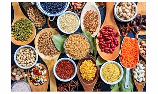 GRAINS AND PULSES PRODUCT