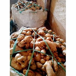 ginger