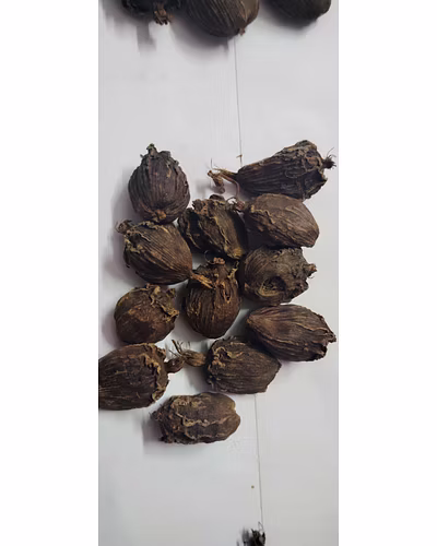Black cardamom-12628290