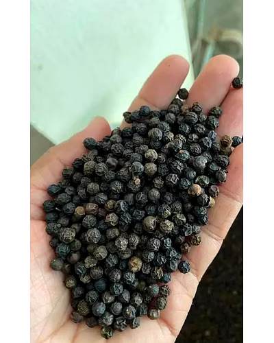 Black pepper-12628294