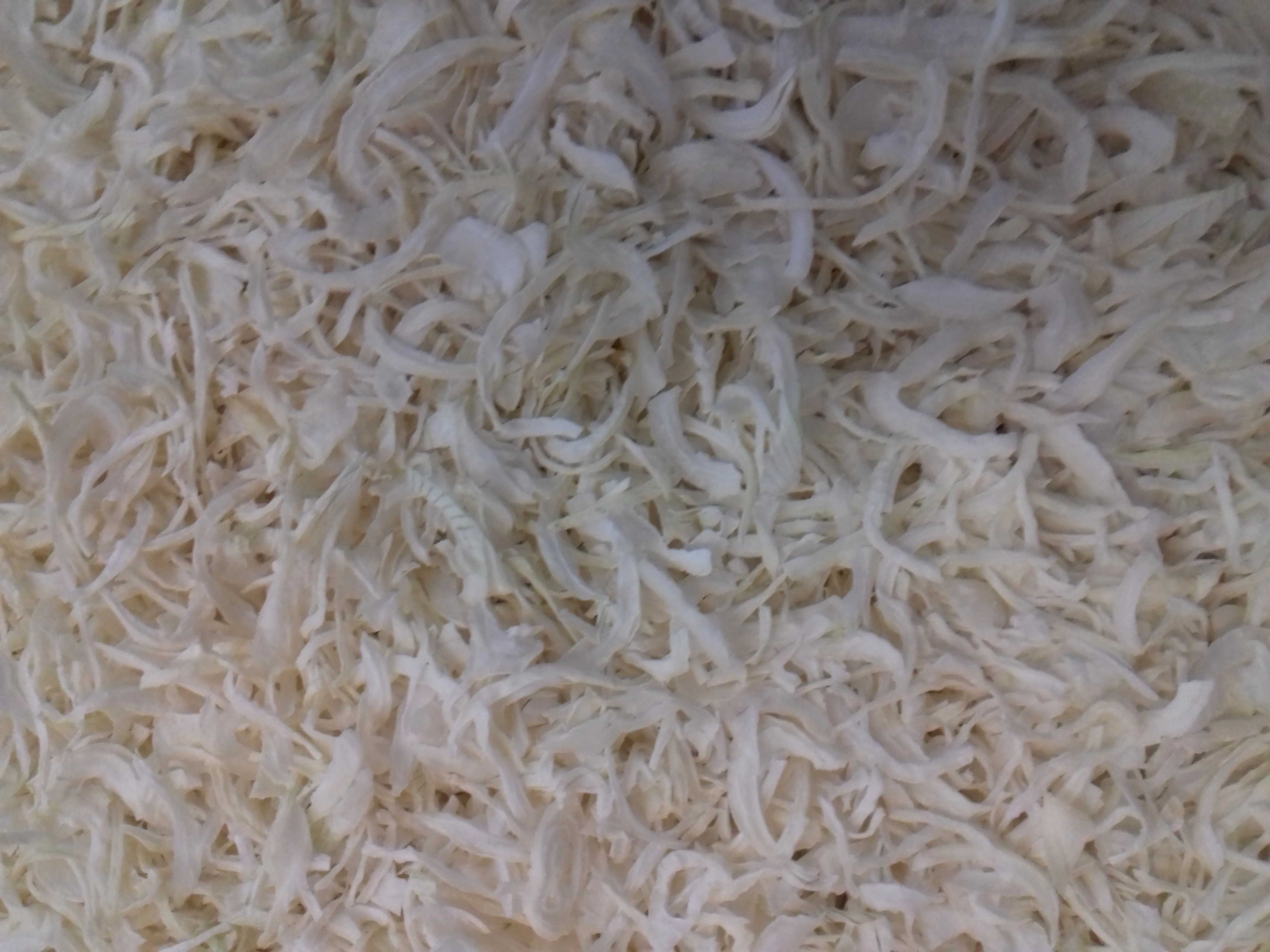 DEHYDRATED WHITE ONION FLAKES/KIBBLED-2