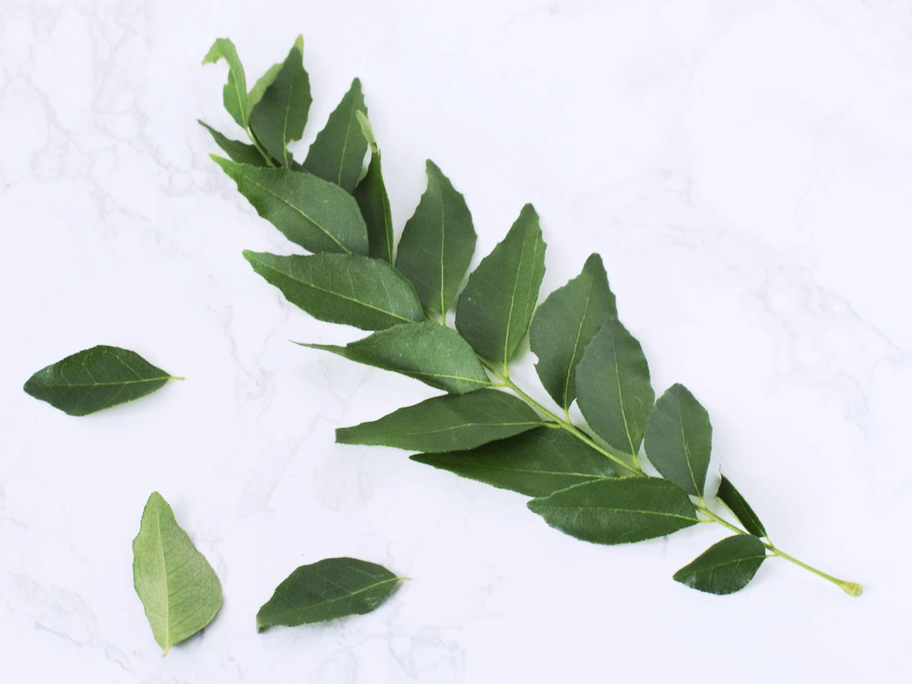 Curry leaves-12644941