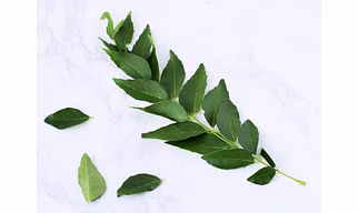 Curry leaves
