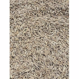 cumin seeds