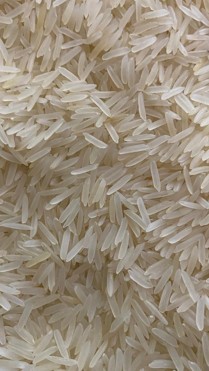 1121 White/Creamy Sella Basmati Rice (8.35 MM)-3