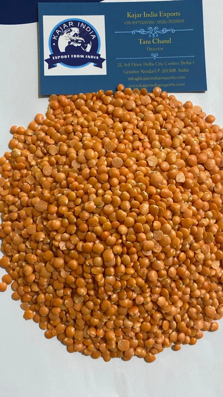 Whole Lentil