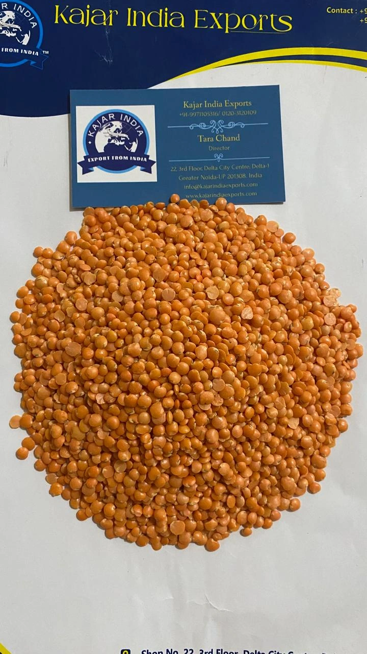 Masoor Dal (Red Lentils)-1