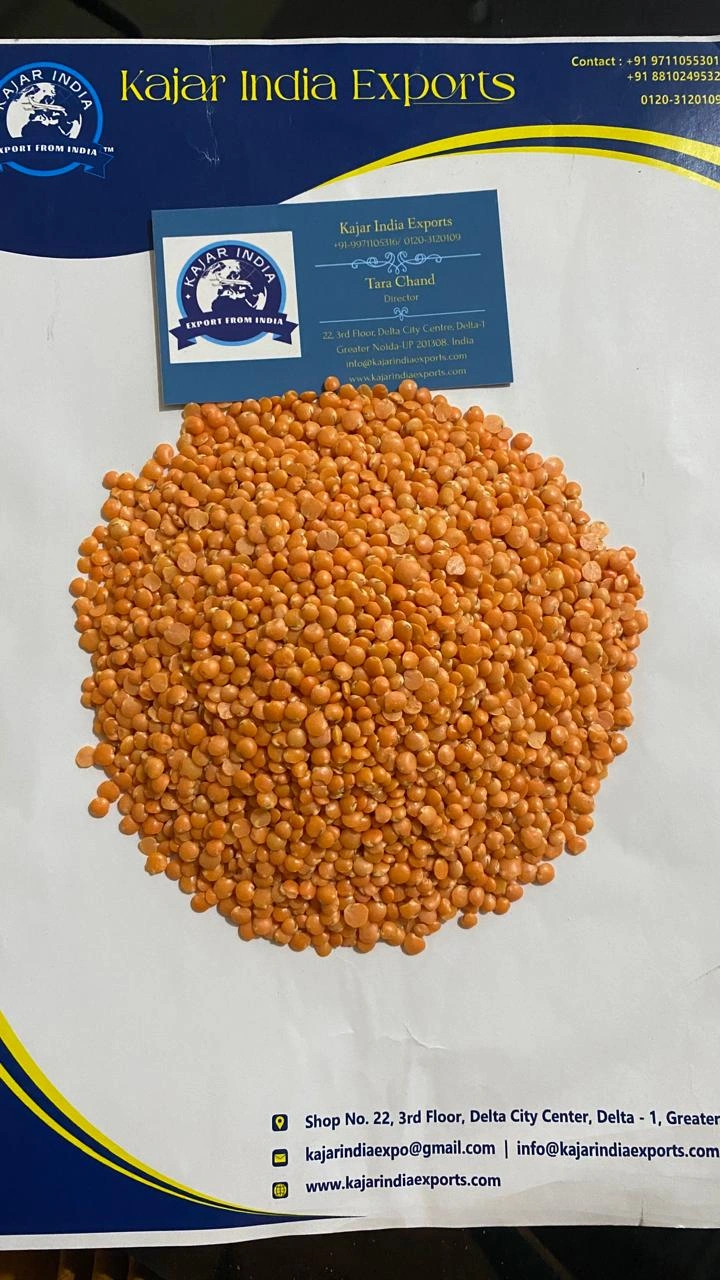 Masoor Dal (Red Lentils)-2