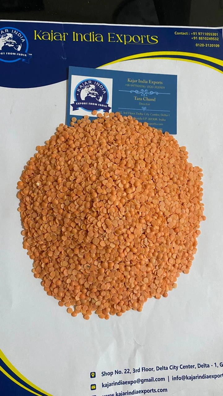 Masoor Dal (Red Lentils)-4