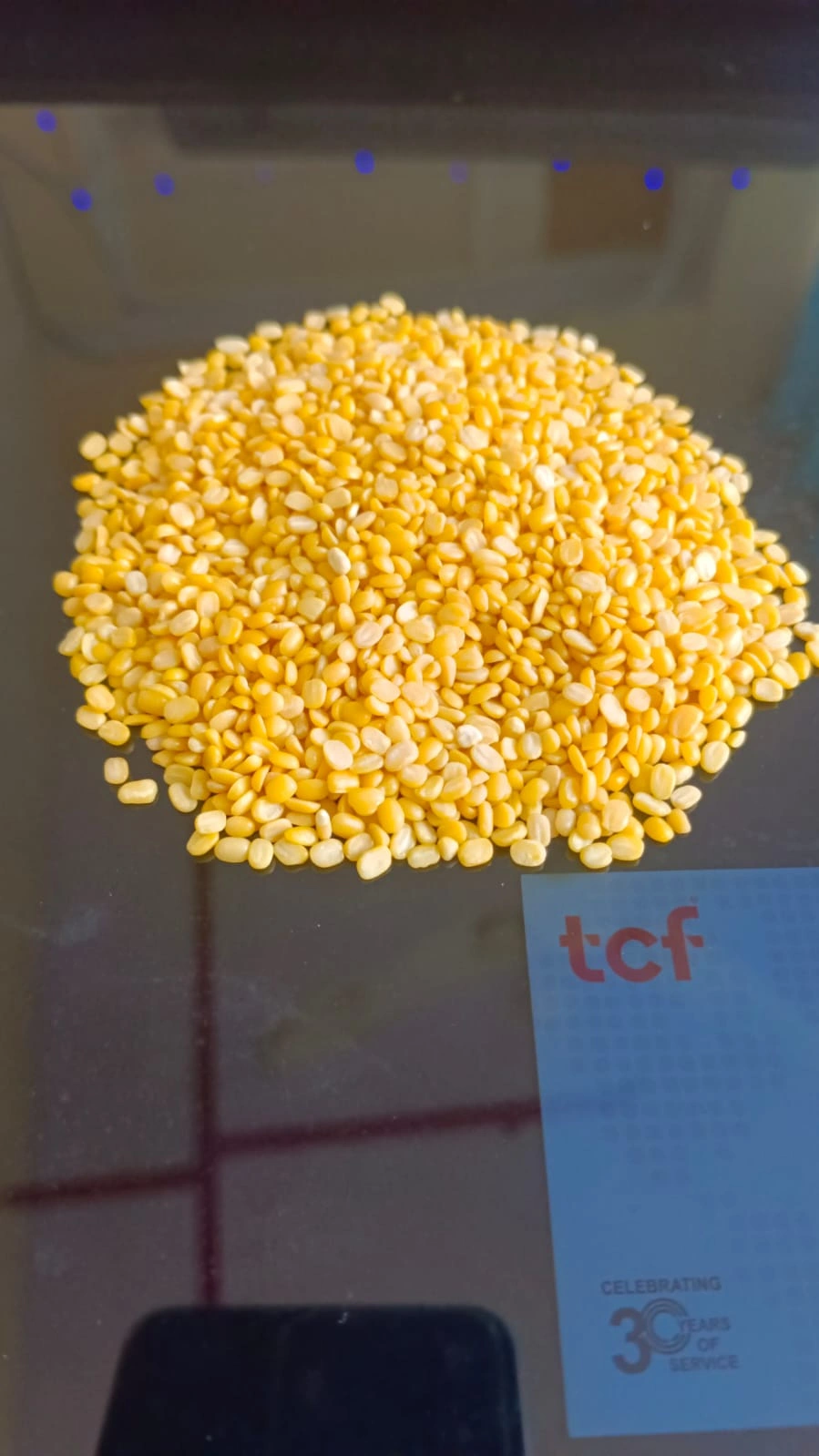 Premium Yellow Lentils - Yellow Moong Dal-4