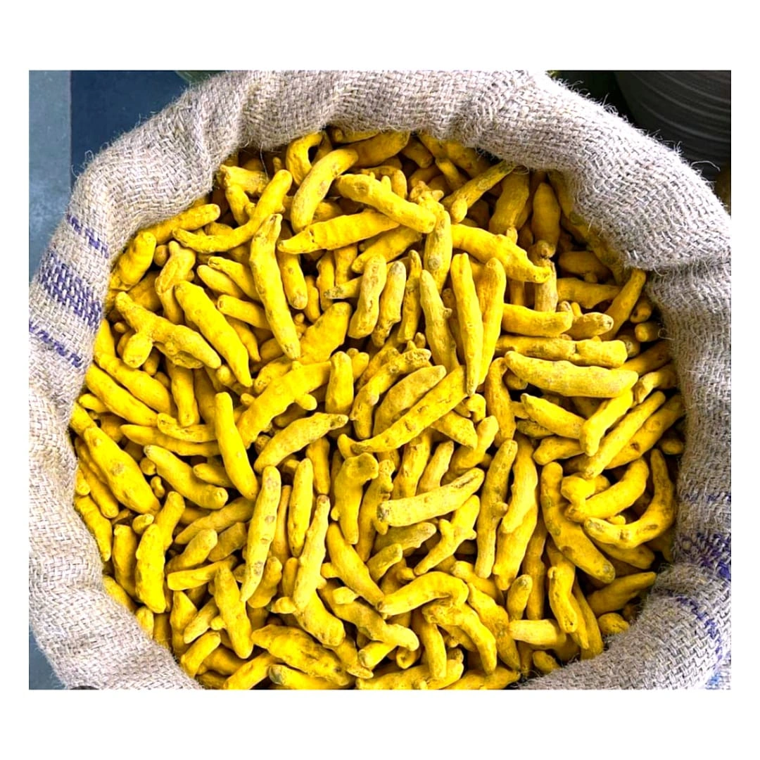 Turmeric Finger-1