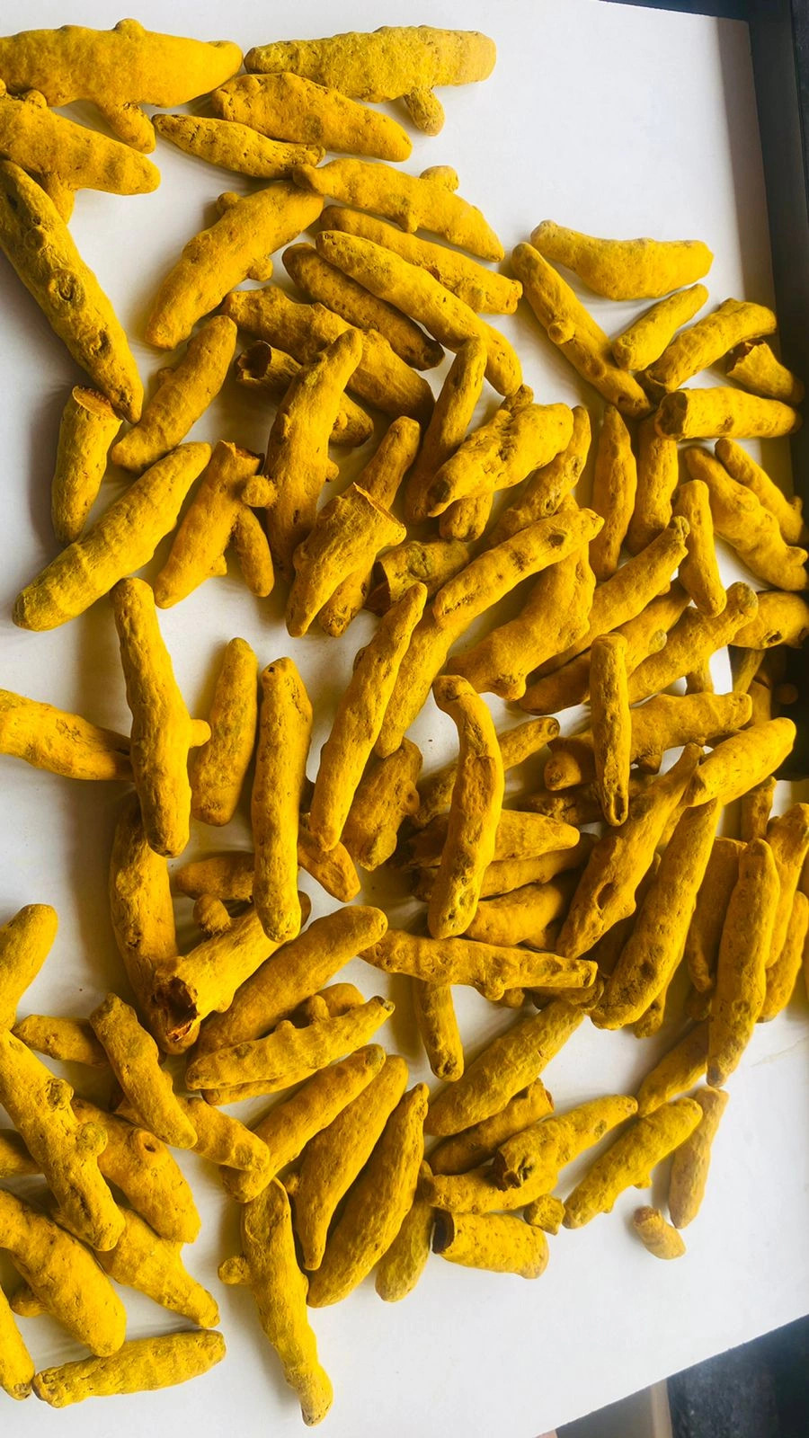 Turmeric Finger-2