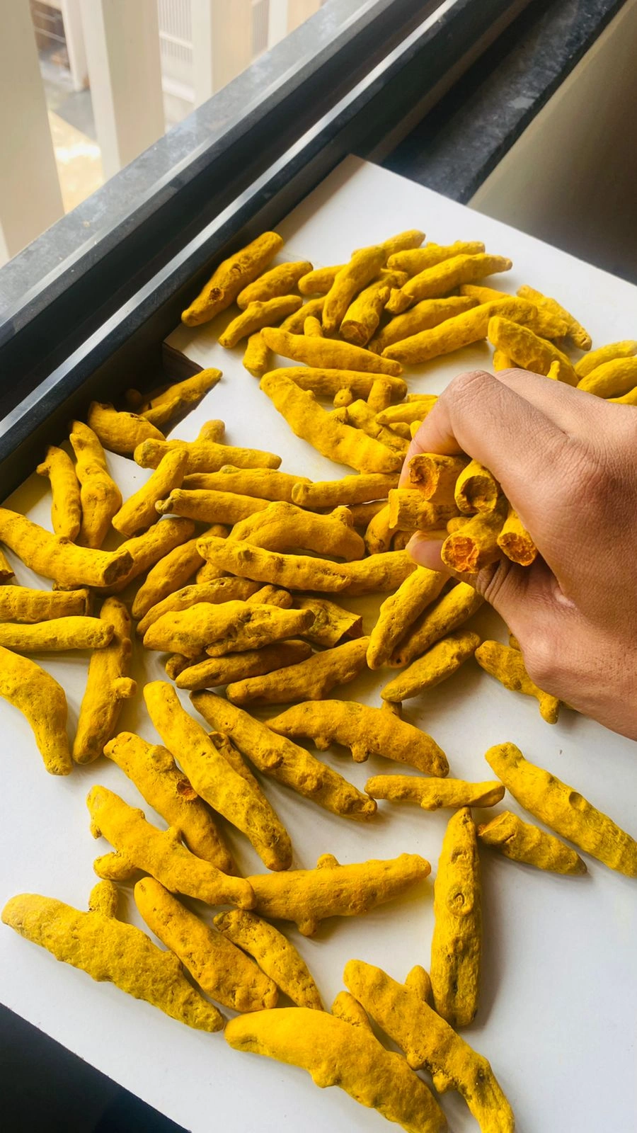 Turmeric Finger-3