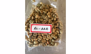 Raw Coffee Beans