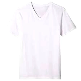 V Neck T-Shirts