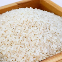 ir 64 rice