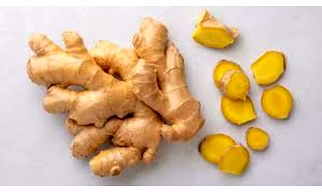 GINGER