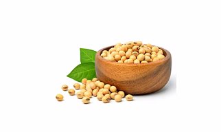 Soyabean Seeds