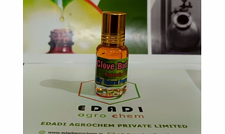 CLOVE LEAF OIL