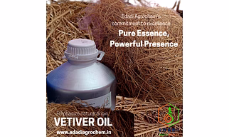 VETIVER OIL