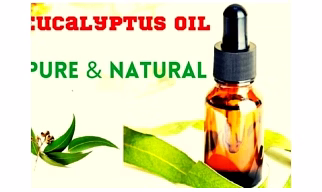 EUCALYPTUS OIL