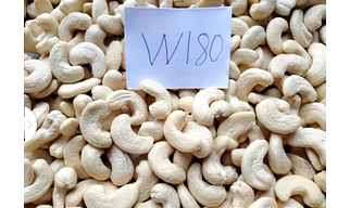 cashew nuts