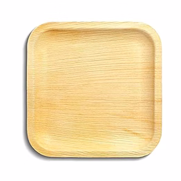 wgi palm leaf plates