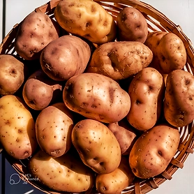 Fresh vegetables