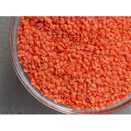 GRAINS &amp; PULSES-1