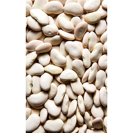 GRAINS &amp; PULSES-4