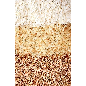 GRAINS & PULSES
