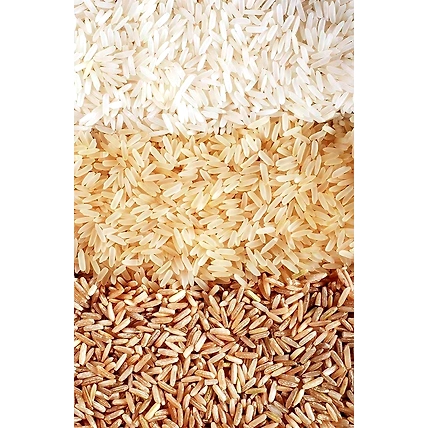 GRAINS &amp; PULSES-12592488
