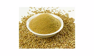 Coriander