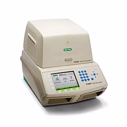 bio rad cfx96 touch real-time pcr detection system