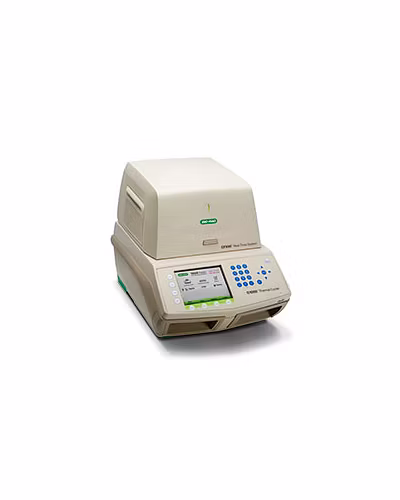 Real PCR Detection Eagleview