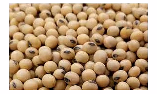 Soyabeans