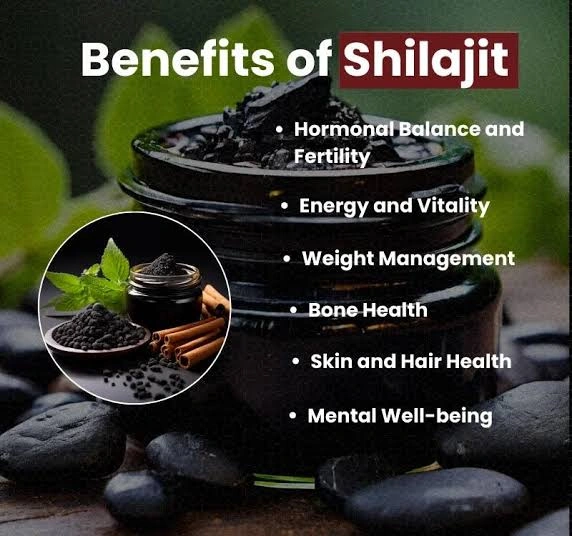 Himalayan Shilajit-1