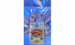 Apple Chips 30G