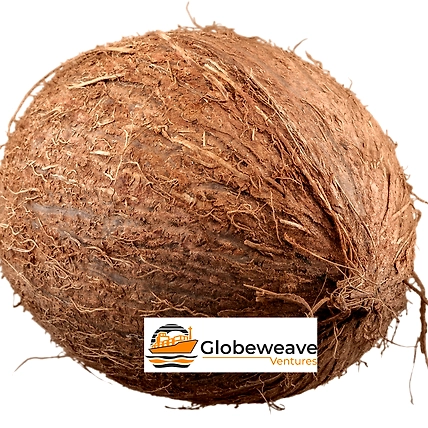 Normal Coconuts-4