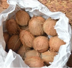 Normal Coconuts-2