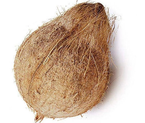 SEMI HUSK COCONUTS-1