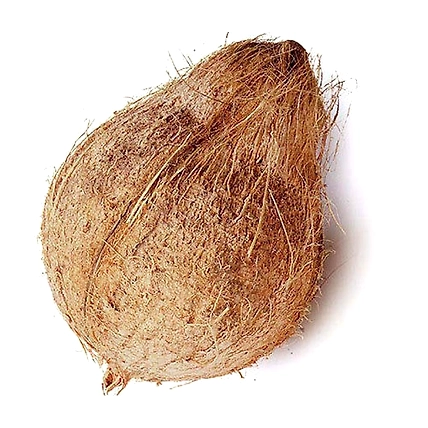 SEMI HUSK COCONUTS-1