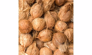 SEMI HUSK COCONUTS