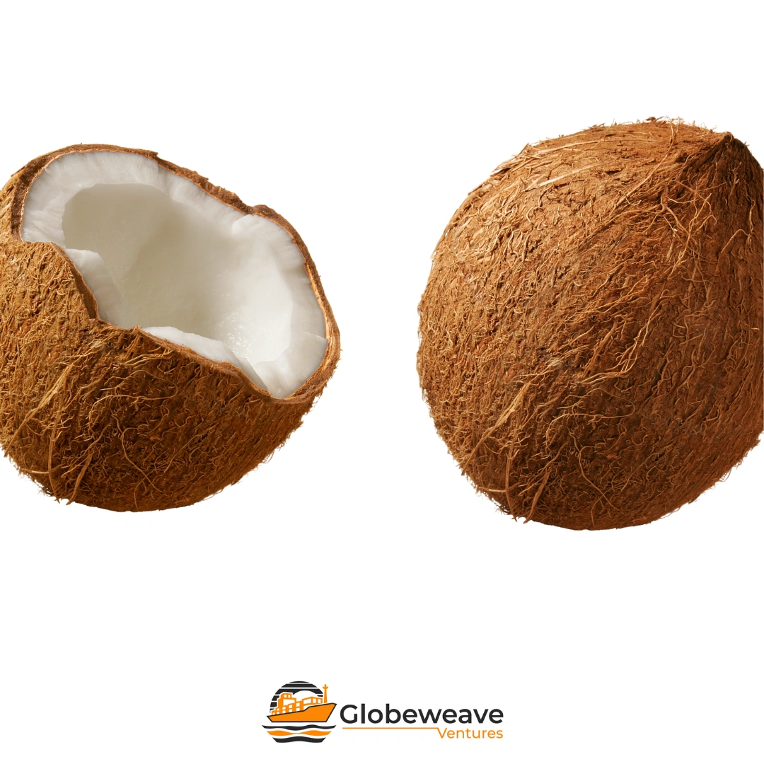 Normal Coconuts-3