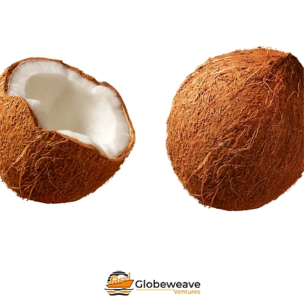 Normal Coconuts-3